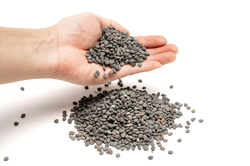 UNS Controsand - Kona Substrate - Buce Plant