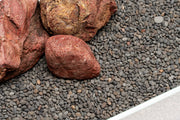 UNS Controsand - Kona Substrate - Buce Plant