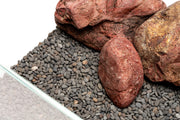 UNS Controsand - Kona Substrate - Buce Plant