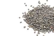 UNS Controsand - Kona Substrate - Buce Plant