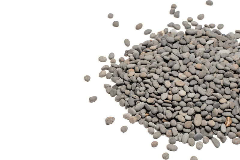 UNS Controsand - Kona Substrate - Buce Plant