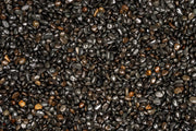 UNS Controsand - Kona Substrate - Buce Plant