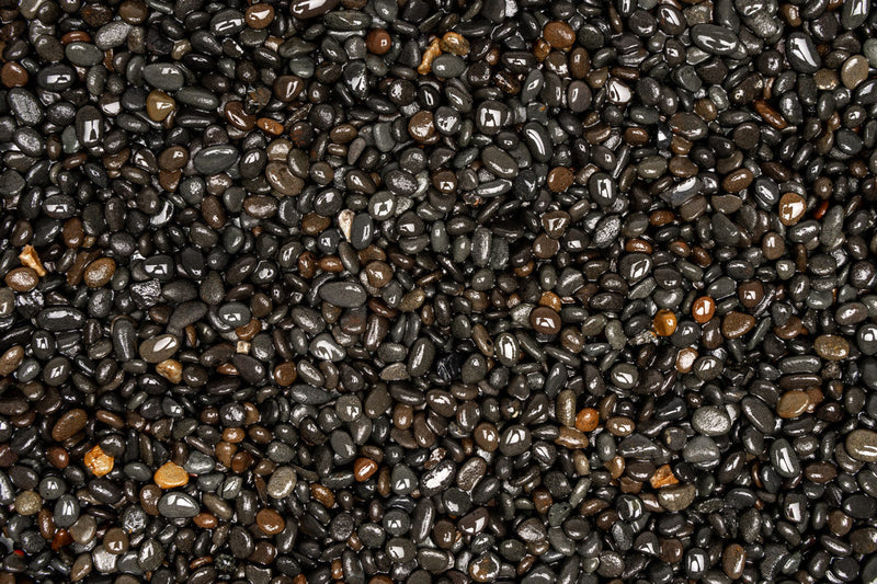 UNS Controsand - Kona Substrate - Buce Plant