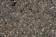 UNS Controsand - Kona Substrate - Buce Plant