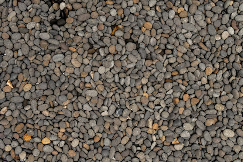 UNS Controsand - Kona Substrate - Buce Plant