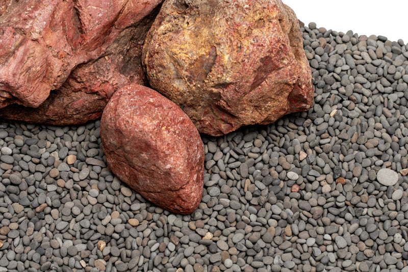 UNS Controsand - Kona Substrate - Buce Plant