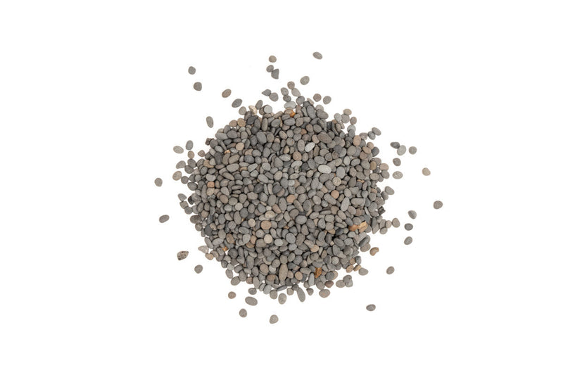 UNS Controsand - Kona Substrate - Buce Plant