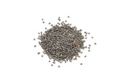 UNS Controsand - Kona Substrate - Buce Plant