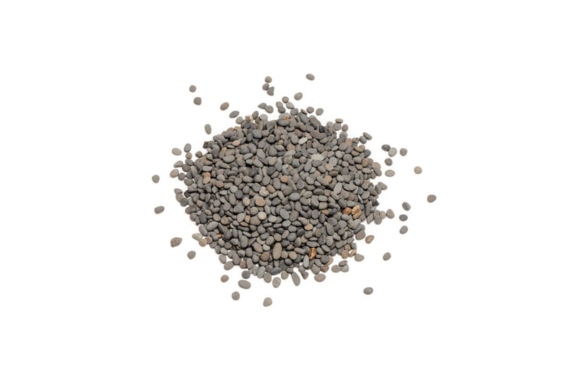 UNS Controsand - Kona Substrate - Buce Plant