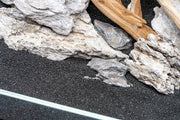 UNS Controsand - Maui Substrate - Buce Plant