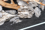 UNS Controsand - Maui Substrate - Buce Plant