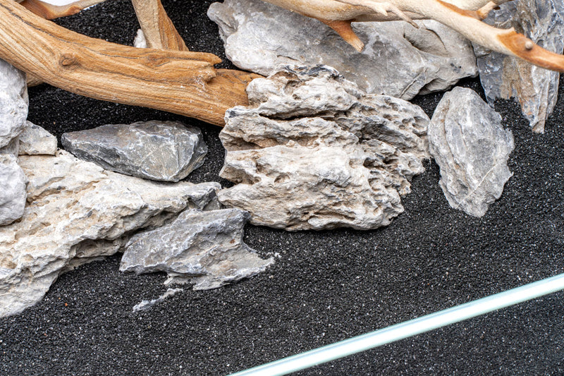 UNS Controsand - Maui Substrate - Buce Plant