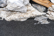 UNS Controsand - Maui Substrate - Buce Plant