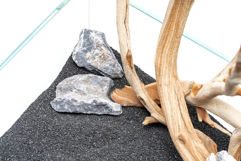 UNS Controsand - Maui Substrate - Buce Plant
