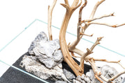 UNS Controsand - Maui Substrate - Buce Plant