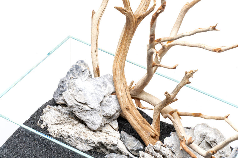 UNS Controsand - Maui Substrate - Buce Plant