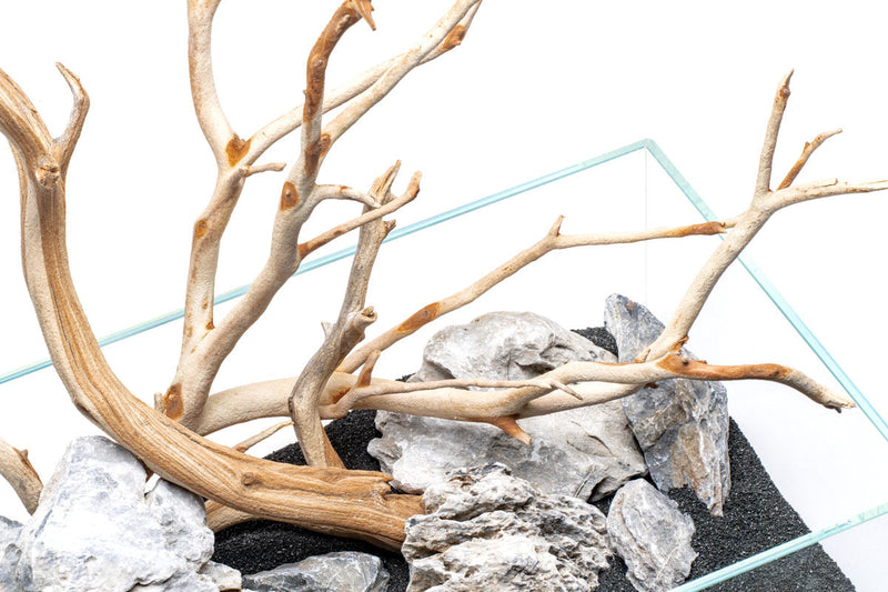 UNS Controsand - Maui Substrate - Buce Plant
