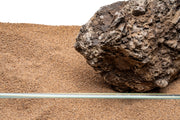 UNS Controsand - Mojave Substrate - Buce Plant
