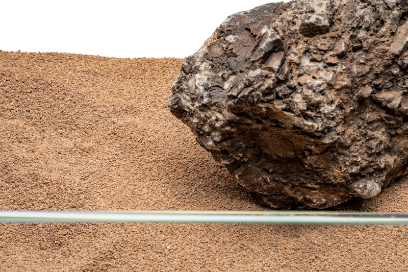 UNS Controsand - Mojave Substrate - Buce Plant