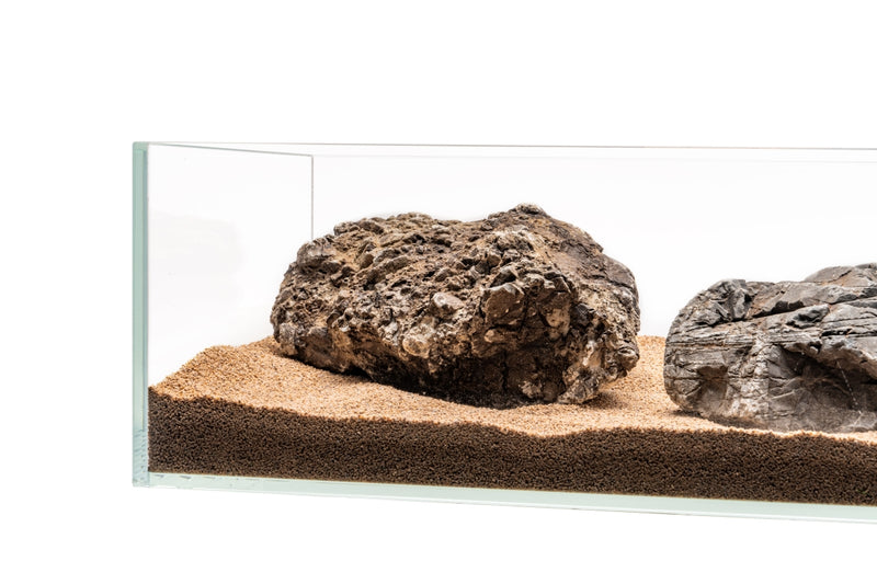 UNS Controsand - Mojave Substrate - Buce Plant
