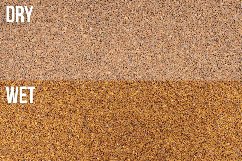 UNS Controsand - Mojave Substrate - Buce Plant