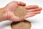 UNS Controsand - Mojave Substrate - Buce Plant