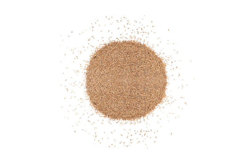 UNS Controsand - Mojave Substrate - Buce Plant