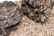 UNS Controsand - Monterey Substrate - Buce Plant