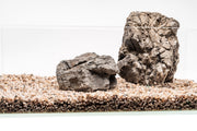 UNS Controsand - Monterey Substrate - Buce Plant