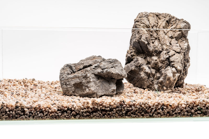 UNS Controsand - Monterey Substrate - Buce Plant