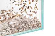 UNS Controsand - Monterey Substrate - Buce Plant