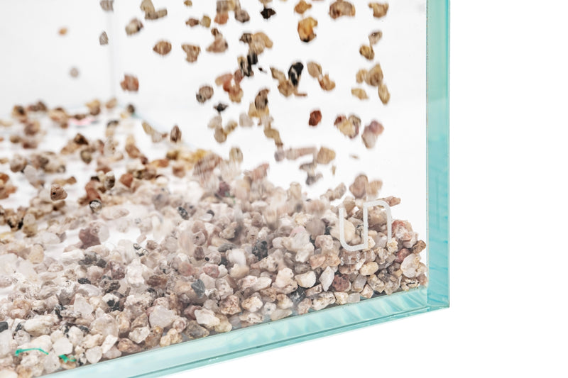 UNS Controsand - Monterey Substrate - Buce Plant