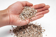 UNS Controsand - Monterey Substrate - Buce Plant