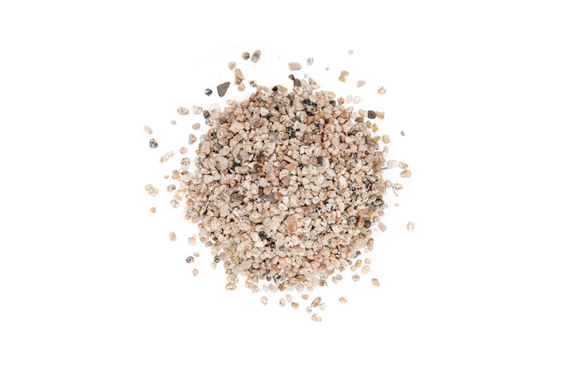 UNS Controsand - Monterey Substrate - Buce Plant