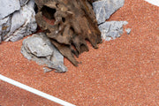 UNS Controsand - Morocco Substrate - Buce Plant