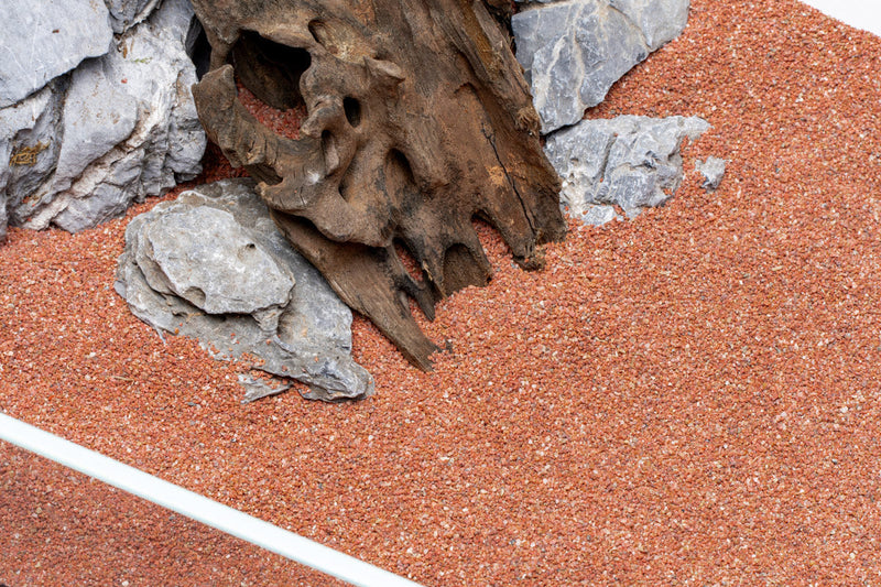 UNS Controsand - Morocco Substrate - Buce Plant