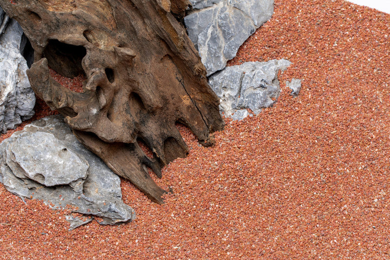 UNS Controsand - Morocco Substrate - Buce Plant