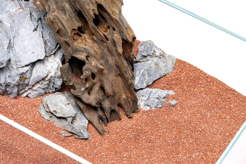 UNS Controsand - Morocco Substrate - Buce Plant