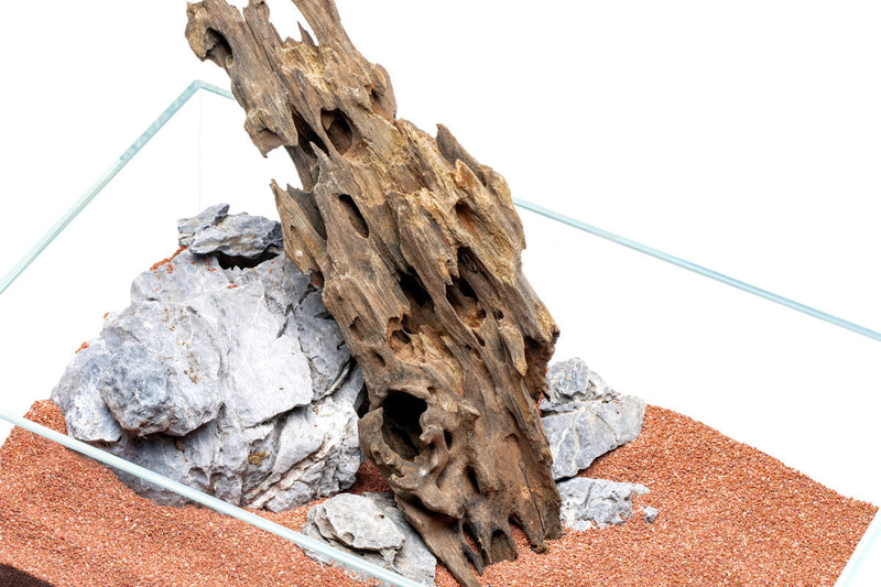 UNS Controsand - Morocco Substrate - Buce Plant
