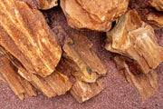 Assorted Rock Box Hardscape - Buce Plant