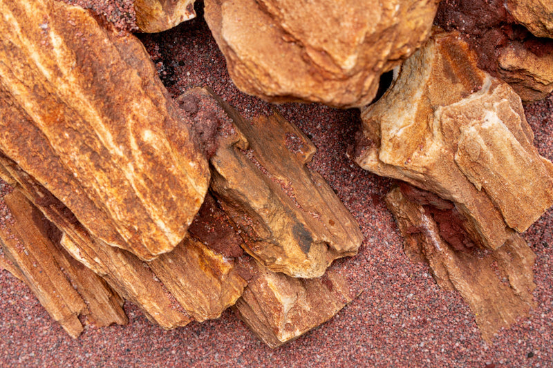 Assorted Rock Box Hardscape - Buce Plant