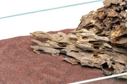 UNS Controsand - Pacifica Substrate - Buce Plant