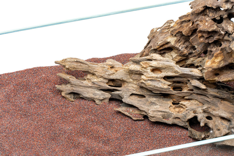 UNS Controsand - Pacifica Substrate - Buce Plant
