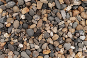 UNS Controsand - Santa Fe Substrate - Buce Plant