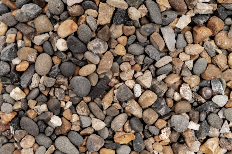 UNS Controsand - Santa Fe Substrate - Buce Plant