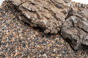 UNS Controsand - Santa Fe Substrate - Buce Plant