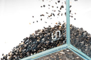 UNS Controsand - Santa Fe Substrate - Buce Plant