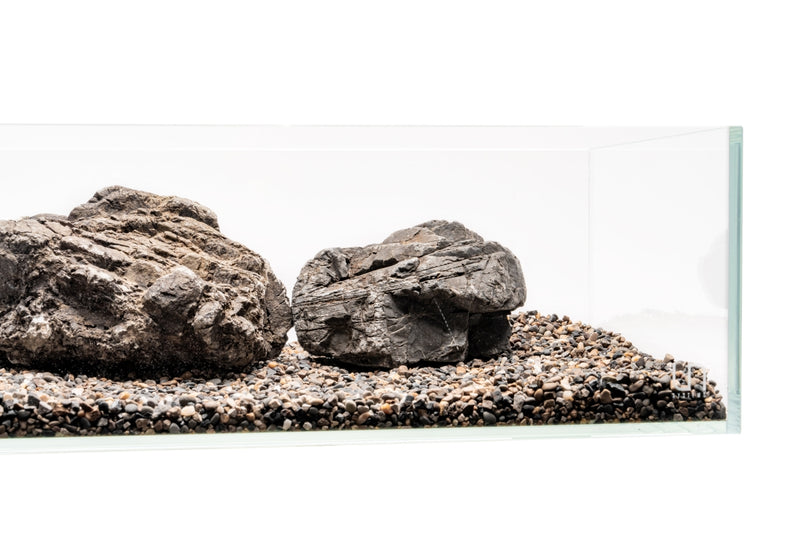 UNS Controsand - Santa Fe Substrate - Buce Plant