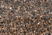 UNS Controsand - Santa Fe Substrate - Buce Plant