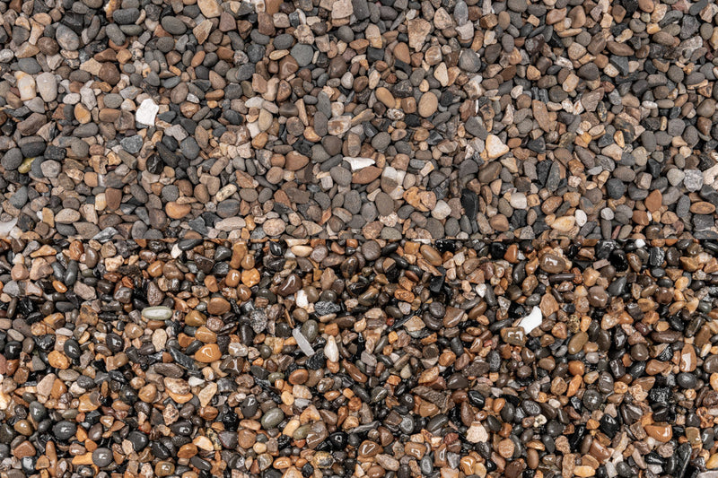 UNS Controsand - Santa Fe Substrate - Buce Plant